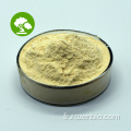 Natural Scutellaria baicalensis Root Extract Baicalin Powder